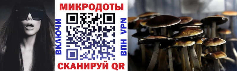 дарнет шоп  Оренбург  Галлюциногенные грибы Magic Shrooms 